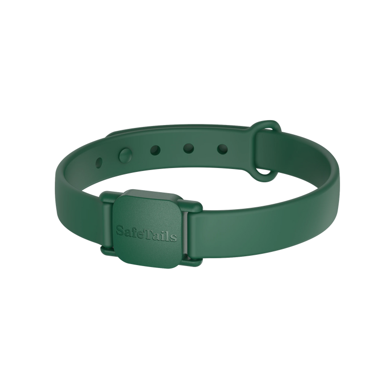 SafeTails Cat Collar – Forest Green