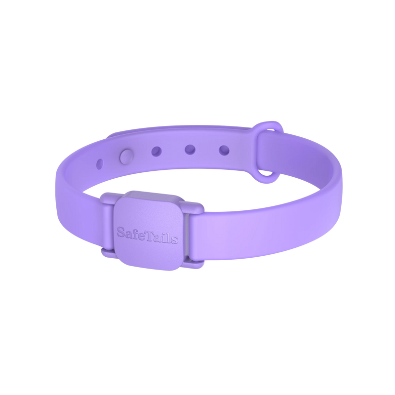 SafeTails Cat Collar – Lavender Purple