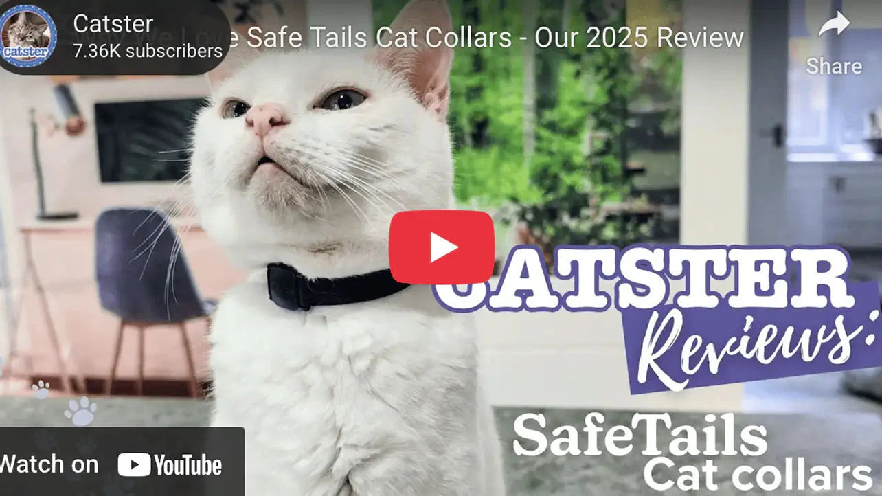 Load video: An independent review by Catster