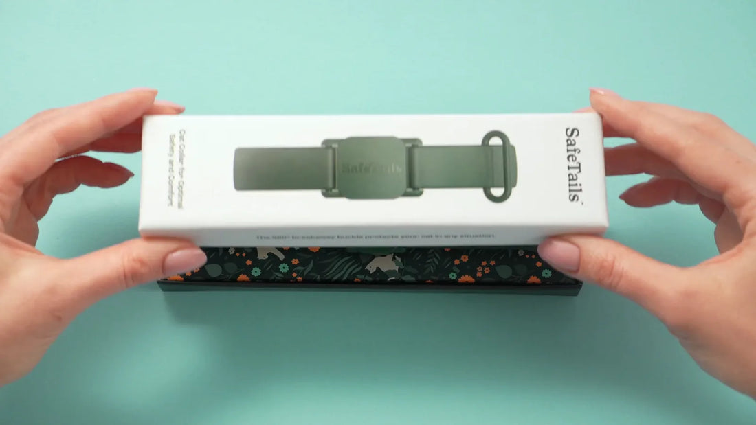 SafeTails collar unboxing and how it works