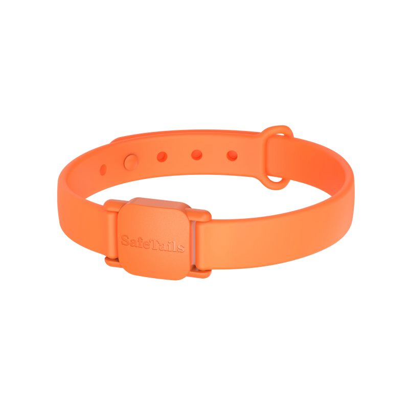 SafeTails Cat Collar – Tangerine Orange